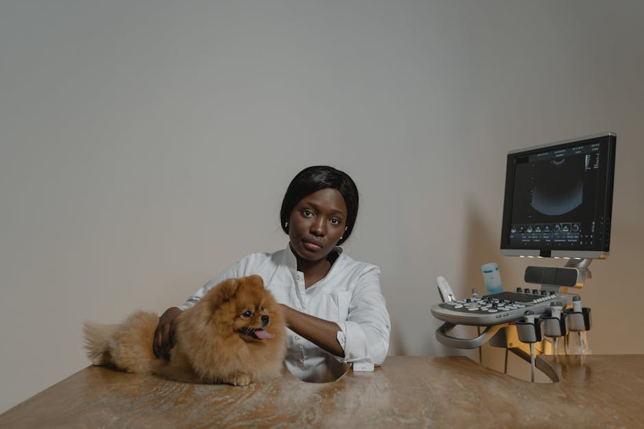 Veterinarian with Pomeranian dog in an examination room beside ultrasound machine.